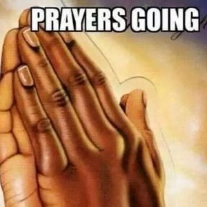 Meet your Posher, Esther